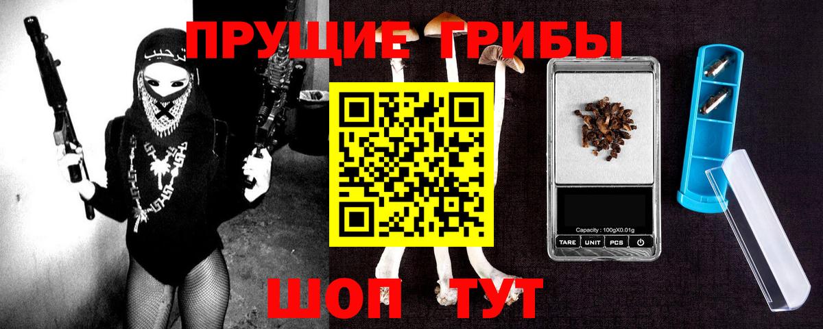 Галлюциногенные грибы мицелий Россия