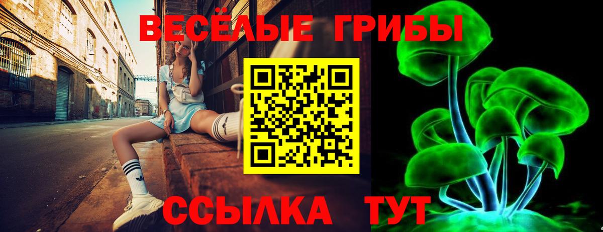 Псилоцибиновые грибы ЛСД  Вход с VPN  Россия 