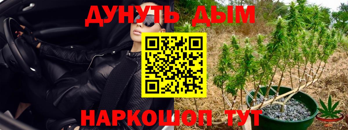 Шишки марихуана план  Вход с VPN  Россия  Марихуана MAZAR  Каннабис планчик 